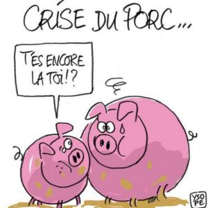 Colis de porc